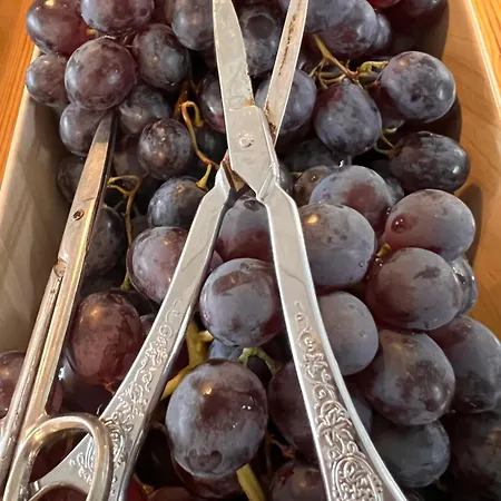 伊冒斯旅馆 Haslev