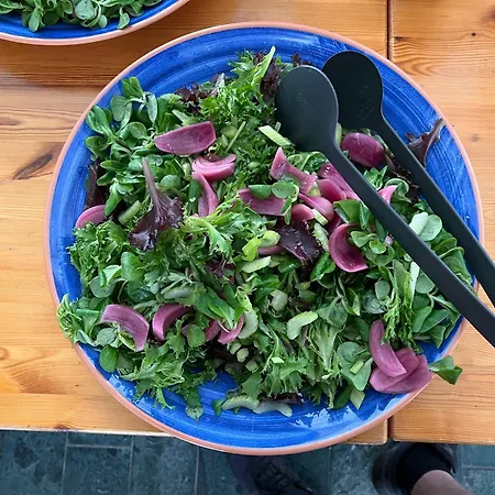 旅馆 伊冒斯旅馆